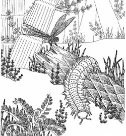 fossils coloring pages