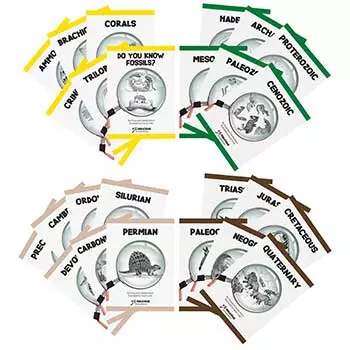 critical thinking questions about fossils